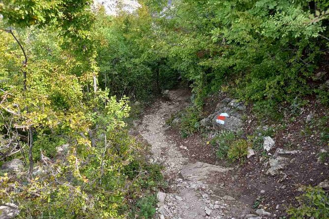 Pellumbas Cave Tour and Petrela Castle from Tirana - Booking, Cancellation, and Weather Considerations