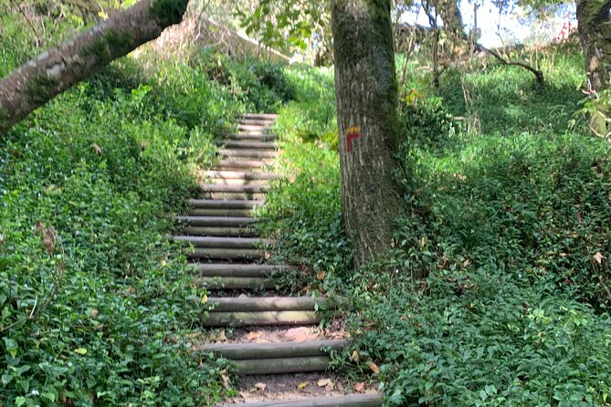Pena Palace and Park and Vila de Sintra Private Half Day Tour - The Role of the Guides: Knowledge and Personal Touch