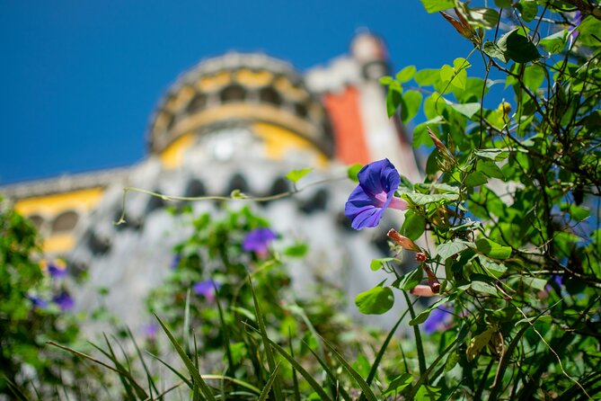 Pena Palace and Park Entry Tickets in Sintra - Weather and Refund Policy for Unpredictable Conditions