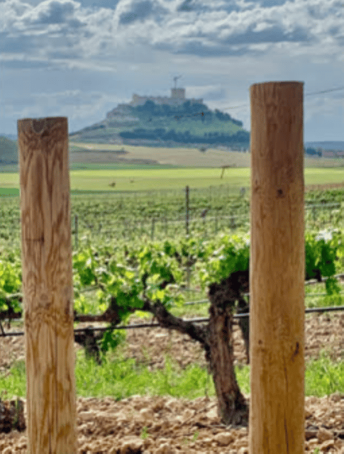 Peñafiel . Visita privada Castillo y casco Histórico - Visiting the Iconic Peñafiel Castle and Its Interiors