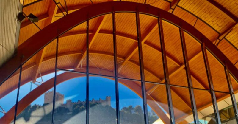 Peñafiel . Visita privada Castillo y casco Histórico - Guided Tour Led by a Certified Castilla y León Guide