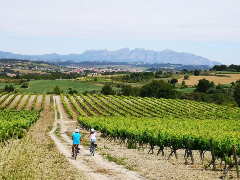 Penedès/BCN: Self-Guided eBike Tour with guided Winery Visit - Key Points