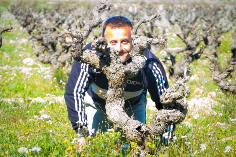 Penedès/BCN: Self-Guided eBike Tour with guided Winery Visit - Cycling Through the Vineyards Near Barcelona