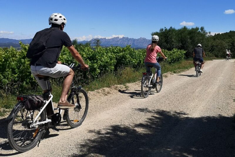 Penedès/BCN: Self-Guided eBike Tour with guided Winery Visit - Visiting an Ecological Boutique Winery with Guided Tasting