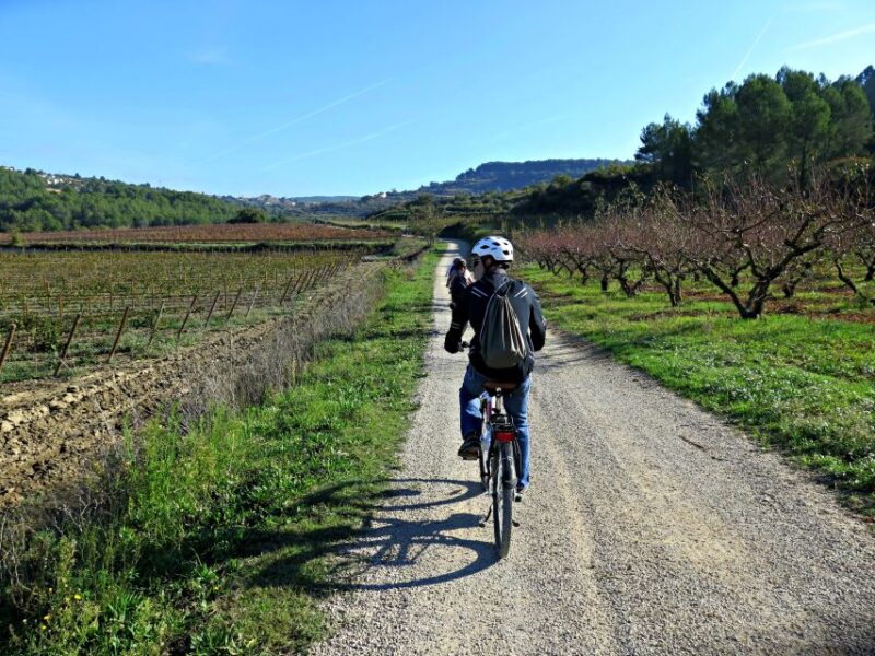 Penedès/BCN: Self-Guided eBike Tour with guided Winery Visit - Returning to Lavern-Subirats and the End of the Tour