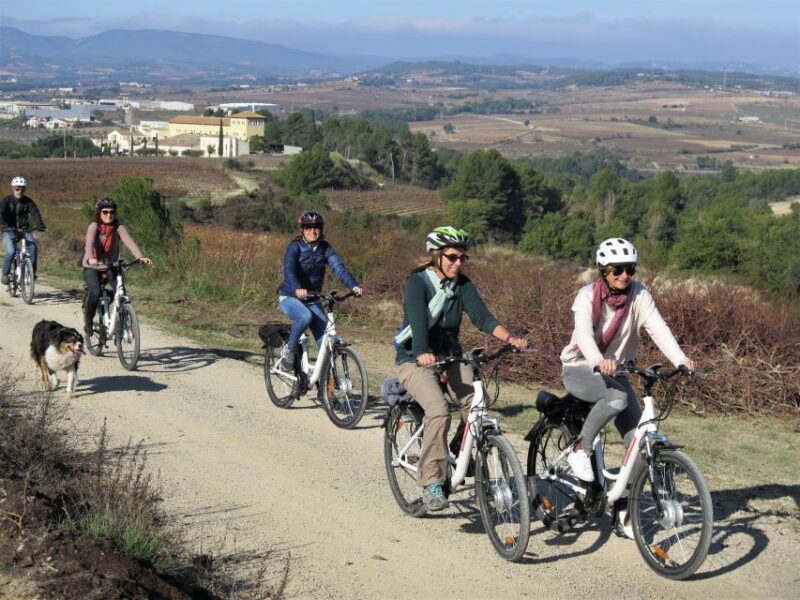 Penedès/BCN: Self-Guided eBike Tour with guided Winery Visit - Why This Tour Stands Out Compared to Similar Experiences