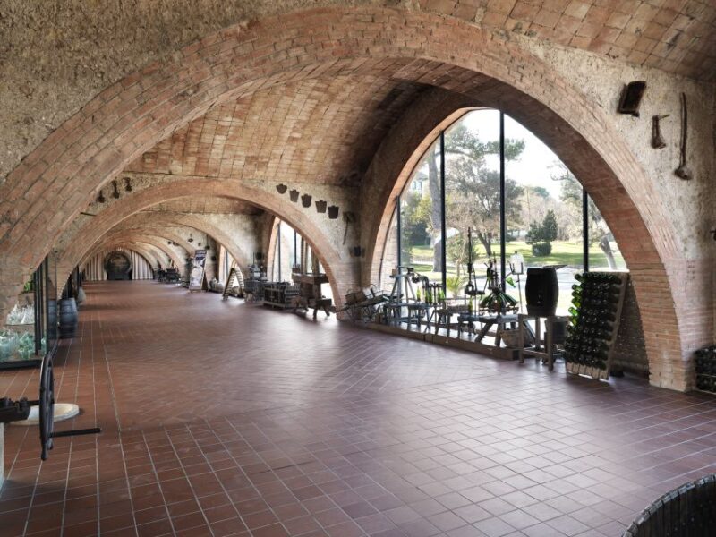 Penedès: Discovery Tour with Cava Tasting - Practical Details: Meeting Point and Group Size