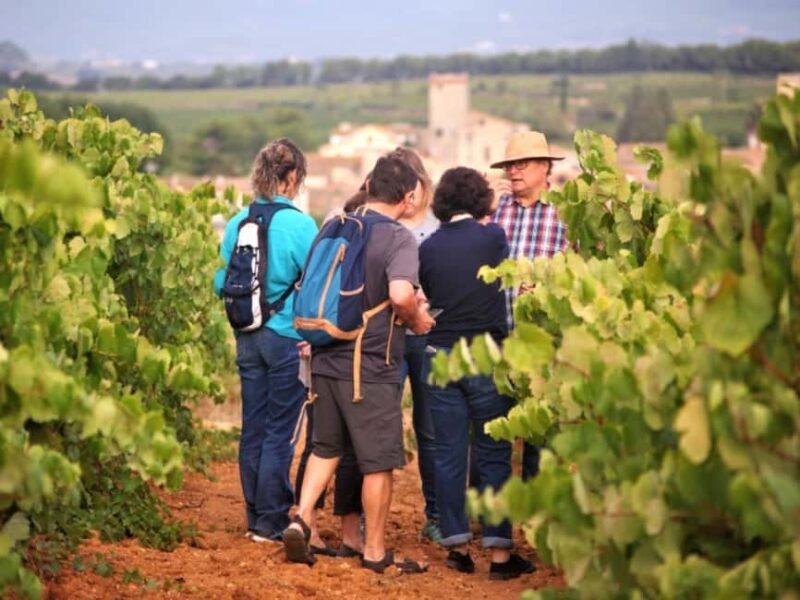 Penedès E-Bike & Organic Wine Tour with Montserrat Views - Key Points