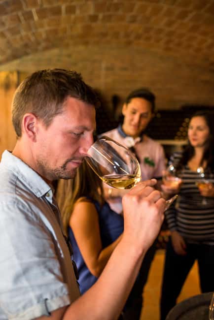 Penedès E-Bike & Organic Wine Tour with Montserrat Views - Scenic E-Bike Ride Through Penedès Vineyards with Montserrat Views