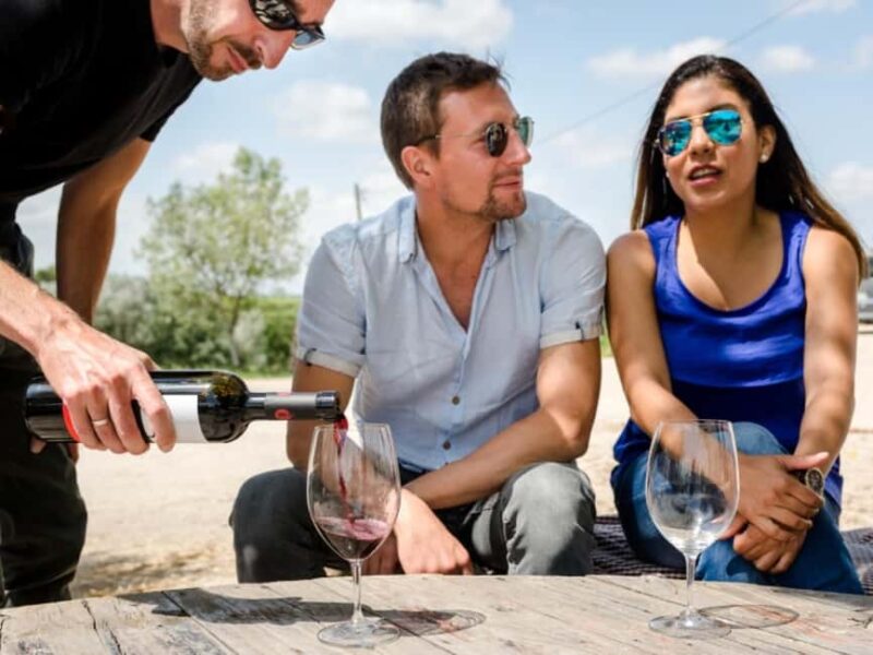 Penedès E-Bike & Organic Wine Tour with Montserrat Views - Logistics and Practical Details of the Tour