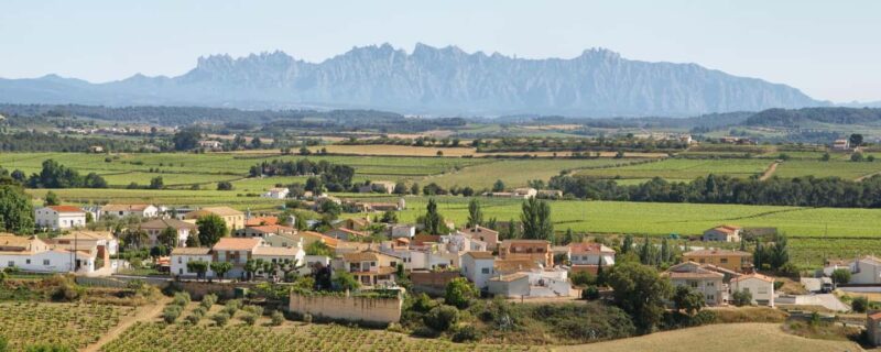 Penedès E-Bike & Organic Wine Tour with Montserrat Views - Penedès E-Bike & Organic Wine Tour: A Balanced Mix of Scenery, History, and Flavors