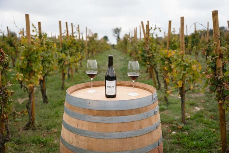 Penedés: Guided Walk Through Vineyards, Winery Visit, and Tasting of 3 Wines - Visiting the Winery: From Grape to Glass