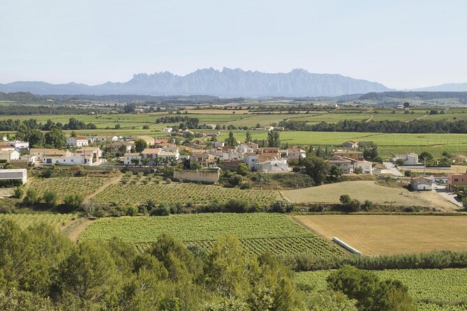 Penedes Wine & Cava Tasting & 4WD Vineyards Tour from Barcelona - Unique Penedès Wine & Cava Experience from Barcelona at $139