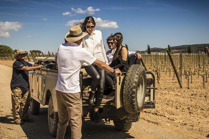 Penedes Wine & Cava Tasting & 4WD Vineyards Tour from Barcelona - The Scenic Beauty of the Penedès Region