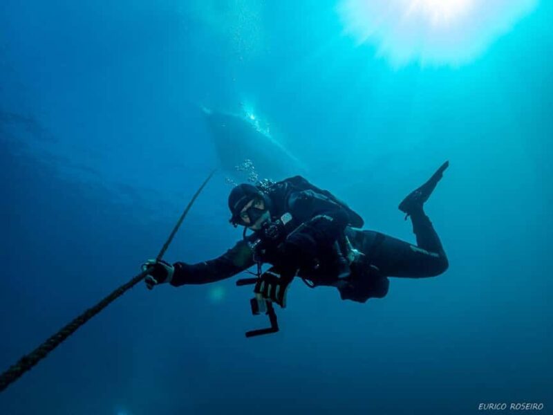 Peniche: 2 Guided Dives in the Berlenga Biosphere Reserve - Peniches Unique Marine Adventure: 2 Guided Dives in the Berlenga Biosphere Reserve