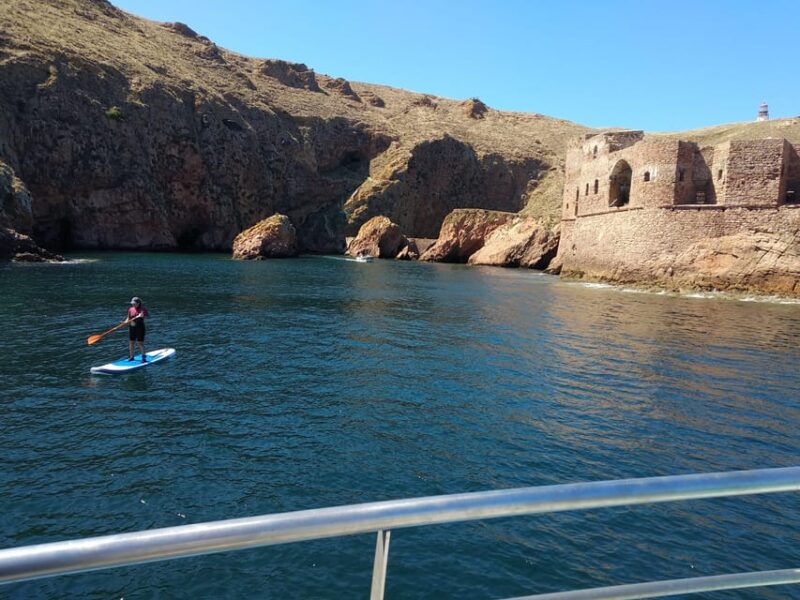 Peniche: Berlengas Island Catamaran Tour + Stand Up Paddle - Wildlife Encounters and Marine Life Observation
