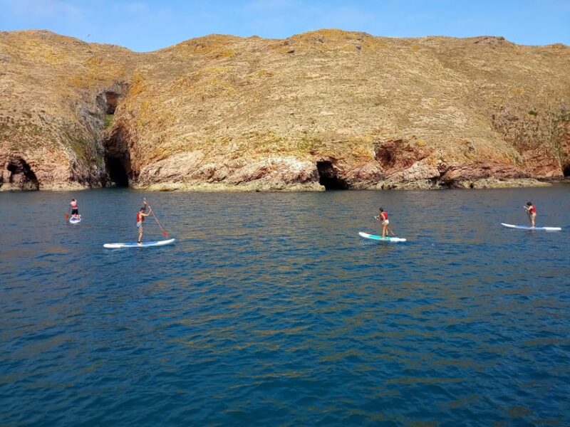 Peniche: Berlengas Island Catamaran Tour + Stand Up Paddle - Comparing Similar Experiences in the Area
