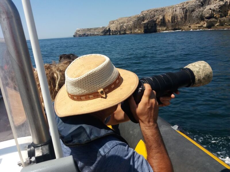 Peniche: Dolphin Route Boat Trip - Scenic Views of the Peniche Coastline from the Water