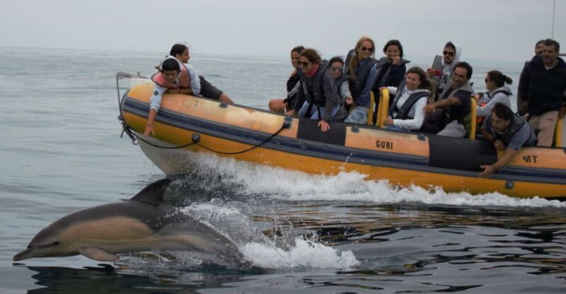 Peniche: Dolphin Route Boat Trip - Duration and Flexibility of the Boat Ride