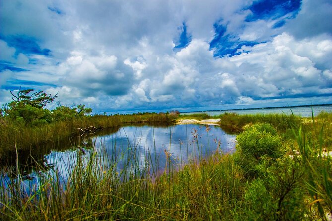 Pensacola Beach Fort Pickens Dolphin Cruise Tour - Scenic Bus Tour of Pensacola Beach and Fort Pickens