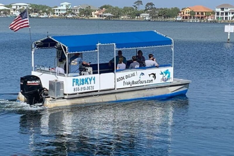 Pensacola Beach Sunset Dolphin Tour private up to 6 ppl - Meeting Point and Tour Schedule Flexibility