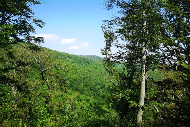 Perceive Zagreb Like a Local - Medvednica Nature Park Hiking - Key Points