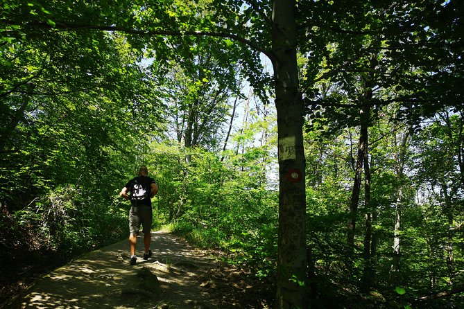 Perceive Zagreb Like a Local - Medvednica Nature Park Hiking - Walking Trails and Forest Environment