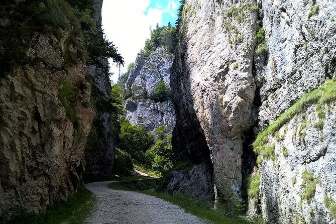 Perfect bike tour around Brasov - The Scenic Ride Through the Secular Oak Forest