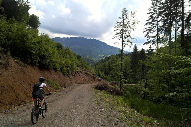 Perfect bike tour around Brasov - Practical Details: Booking, Group Size, and Weather Considerations