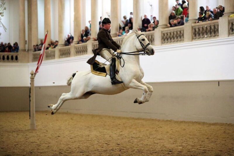 Performance Of The Lipizzans At Spanish Riding School - The Artistic Touch: Lighting and Music
