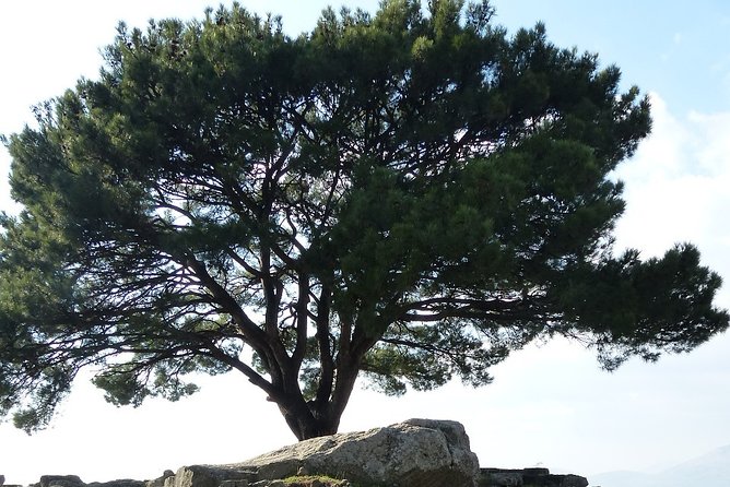 Pergamon Tour - Visiting the Pergamon Museum and Artifacts