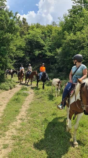Përmet: Amazing Horse Riding Experience at Vjosa NP - The Value and Booking Flexibility