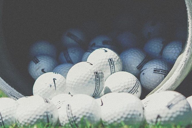 Personal Driver - Lisbon (Vehicle up to 8 pax) - Personal Driver in Lisbon with Private, Up to 8-Passenger Vehicle