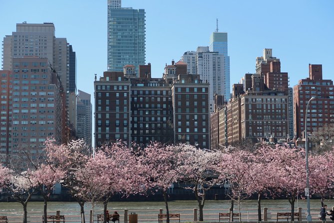 Personalized Experience with your Local Tour Guide - Start Your Custom NYC Exploration with a Private Guide