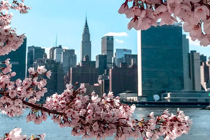 Personalized Experience with your Local Tour Guide - Customization and Flexibility of the Itinerary