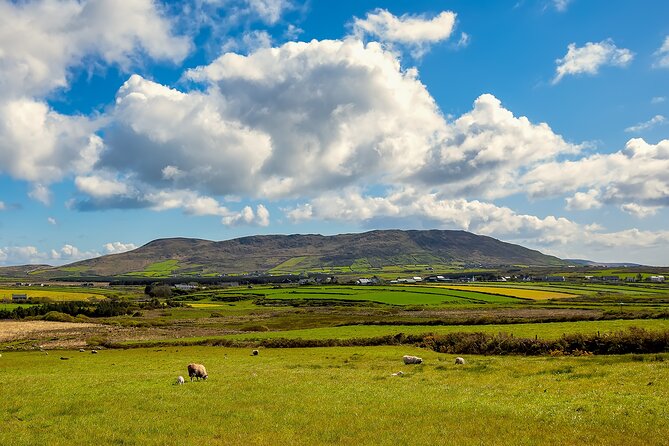 Personalized Full-Day Dingle Peninsula and Slea Head Drive Tour - Fahan BeeHive Huts: Iron Age Stone Structures