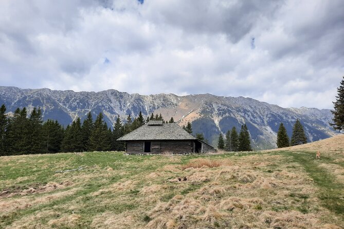 Pestera and Magura Full-Day Private Walking Tour from Brasov - The Logistics of the Tour: Convenience and Comfort