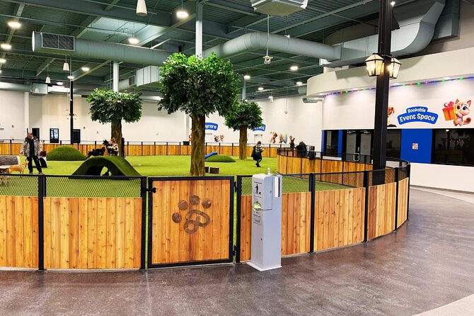 Petfinity Indoor Dog Park in Calgary - Easy Registration and Vaccination Requirements