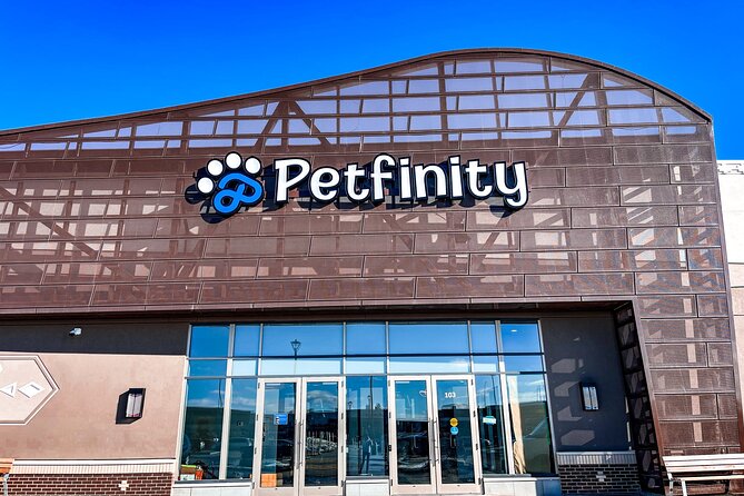 Petfinity Indoor Dog Park in Calgary - What Makes the Indoor Space Ideal for Calgarys Weather