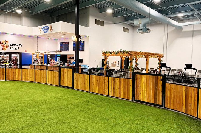 Petfinity Indoor Dog Park in Calgary - Features of the Turf and Play Zones