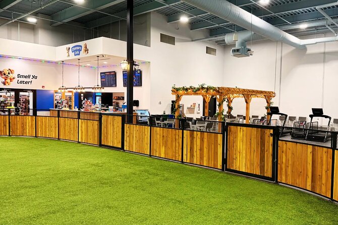 Petfinity Indoor Dog Park in Calgary - Additional Facilities: Pool and Workout Equipment
