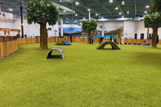 Petfinity Indoor Dog Park in Calgary - Group Size Limit and Cost-Effective Pricing