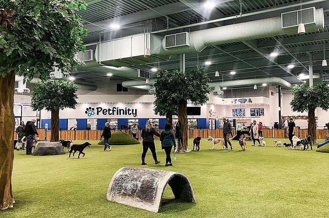 Petfinity Indoor Dog Park in Calgary - Accessibility and Service Animal Policies