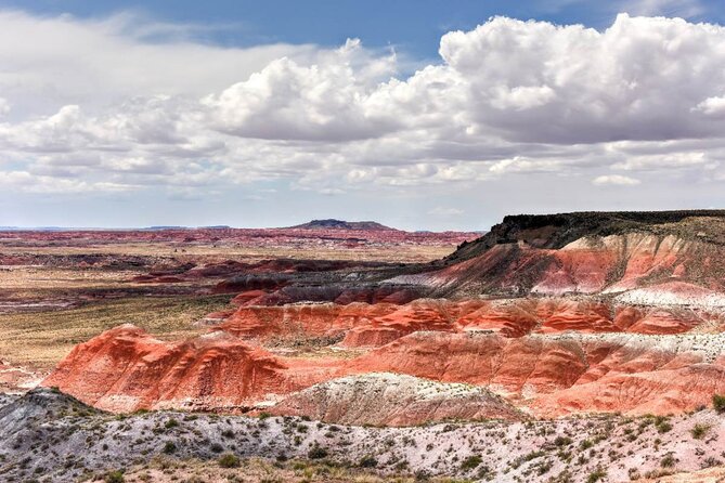 Petrified Forest National Park Self-Guided Driving Audio Tour - Route 66 and the Petroglyphs at Blue Mesa