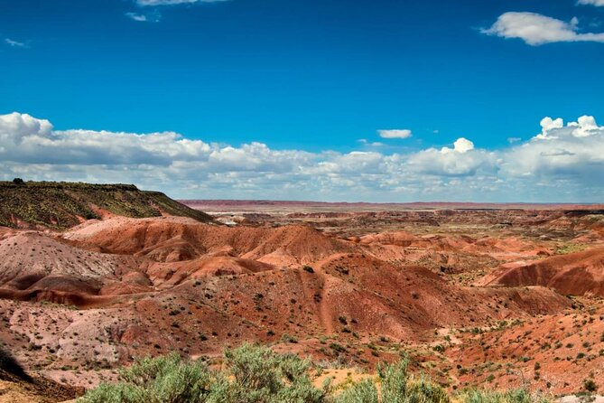 Petrified Forest National Park Self-Guided Driving Audio Tour - Crystal Forest: Up Close with Petrified Wood and Quartz Crystals