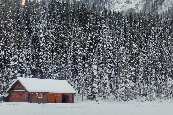 Peyto Lake Lake Louise Johnston Canyon Bow Lake from Calgary - Marveling at Lake Louise’s Snow-Covered Beauty
