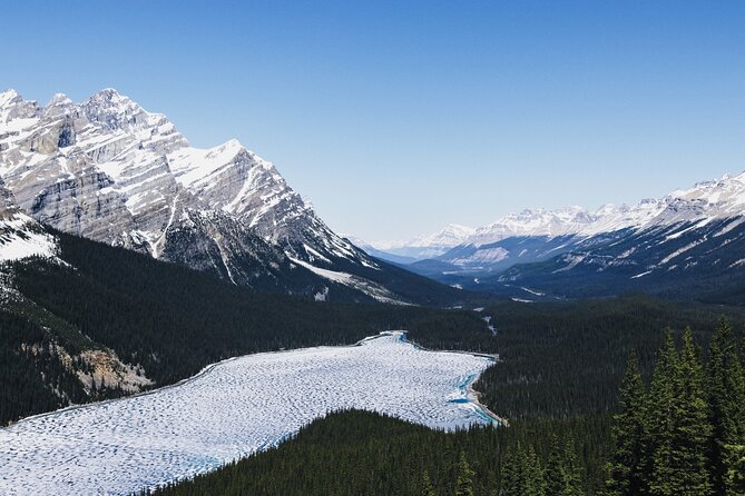 Peyto Lake Lake Louise Johnston Canyon Bow Lake from Calgary - Bow Lake’s Tranquil Turquoise Waters