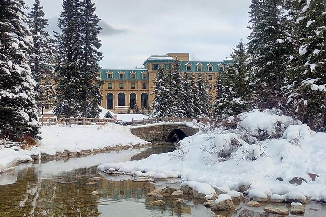 Peyto Lake Lake Louise Johnston Canyon Bow Lake from Calgary - The Iconic Peyto Lake from Bow Summit