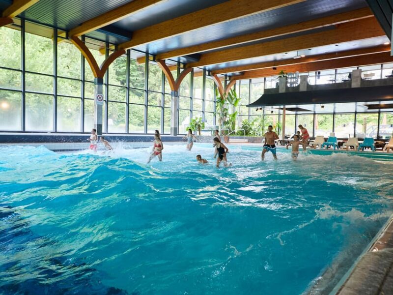 Pfäffikon: Alpamare Water Park Entry Ticket - Relaxation and Wellness at Alpamares Thermal Area