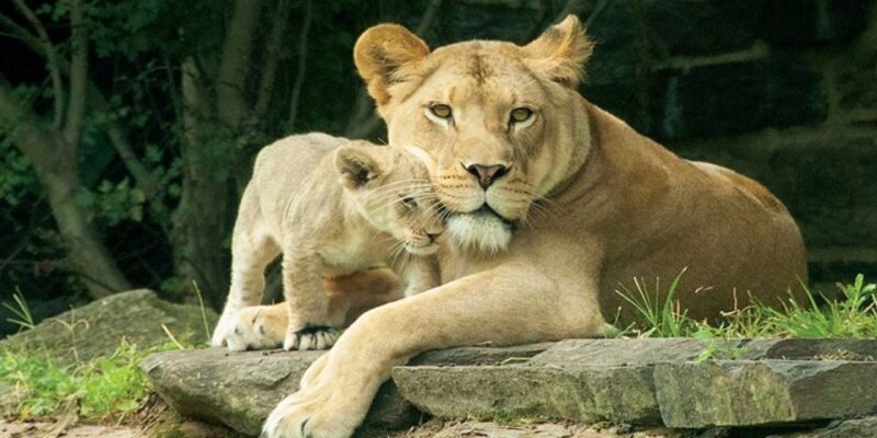 Philadelphia: Go City All-Inclusive Pass w/ 30+ Attractions - Key Points